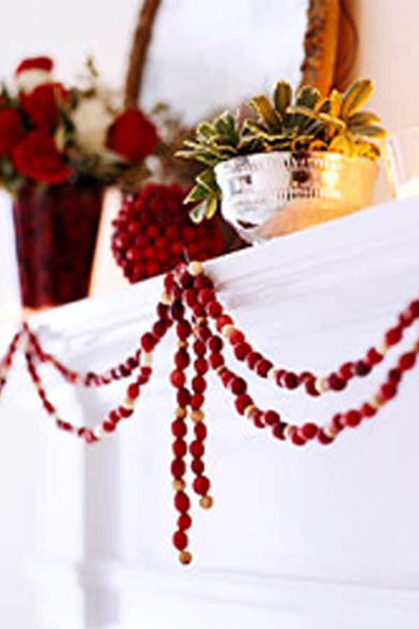 How To Make A Simple Cranberry Garland 