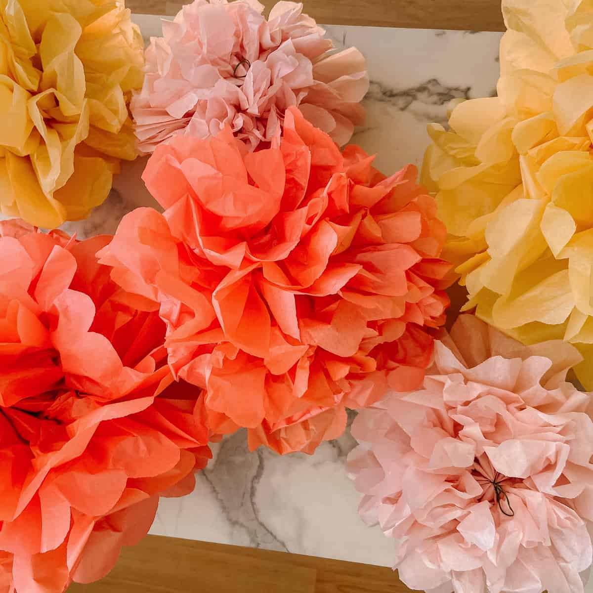 How To Make Tissue Paper Pom Poms Thoughtfully Simple