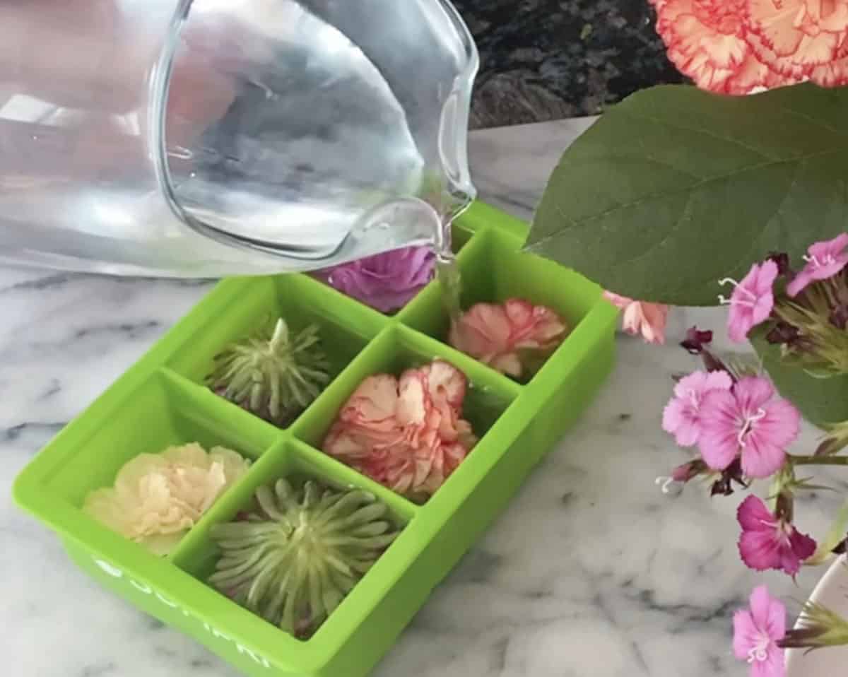 These flower ice cubes are easy to make