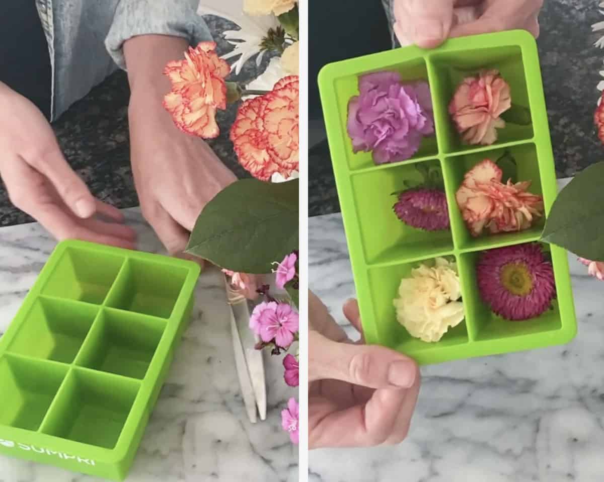 How to make floral ice cubes at home